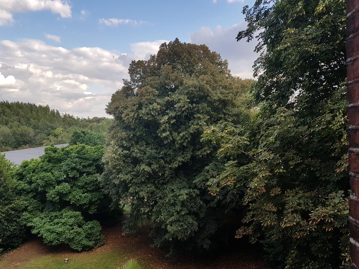 Chateau Lambert Moulinsart Hotel, Shuttle Airport, Long Term Parking, Snooker, Large Terrasse, Dinner, Breakfast Шарлеруа Экстерьер фото